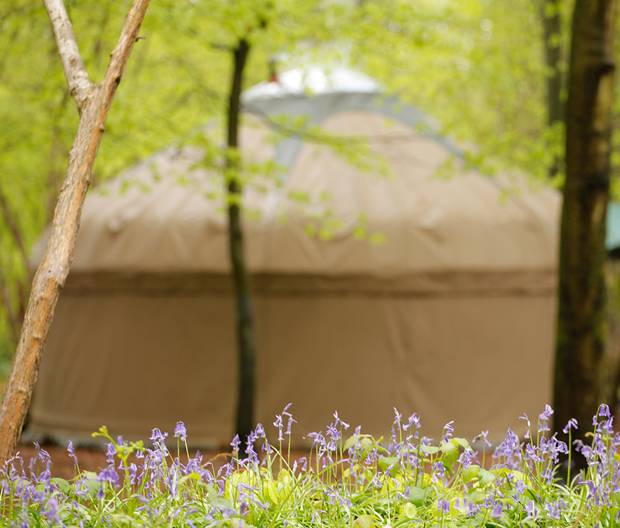 Adhurst Yurts Luxury Glamping Site South Downs Hampshire Holidays