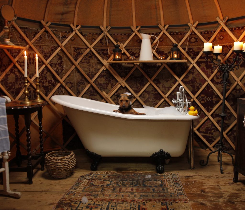 Willow Yurt with Bath Luxury Bathroom and Kitchen - Adhurst Yurts ...