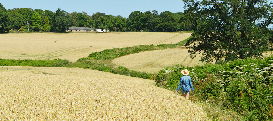 Adhurst Yurts Luxury Glamping Site South Downs Hampshire Holidays